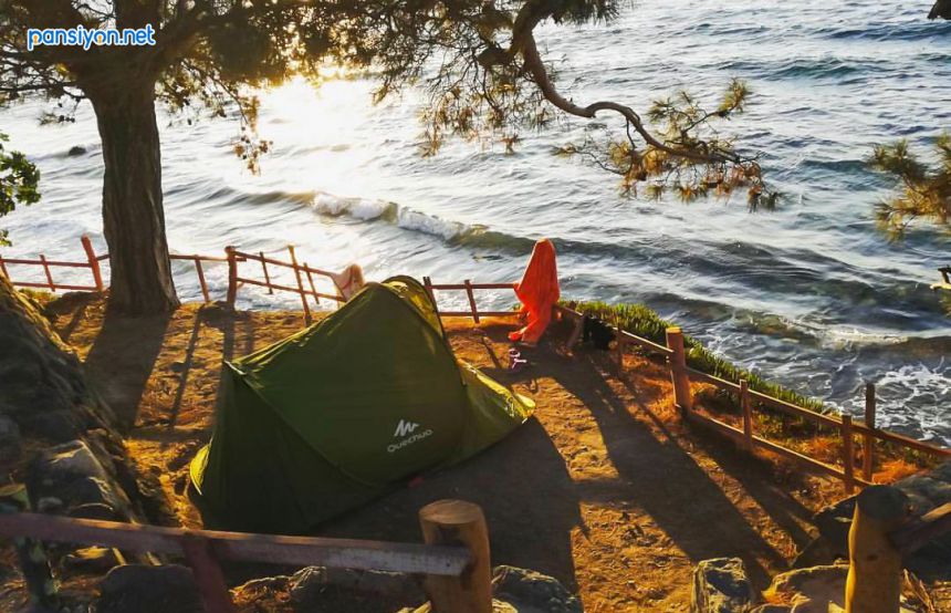 Çam Kamping