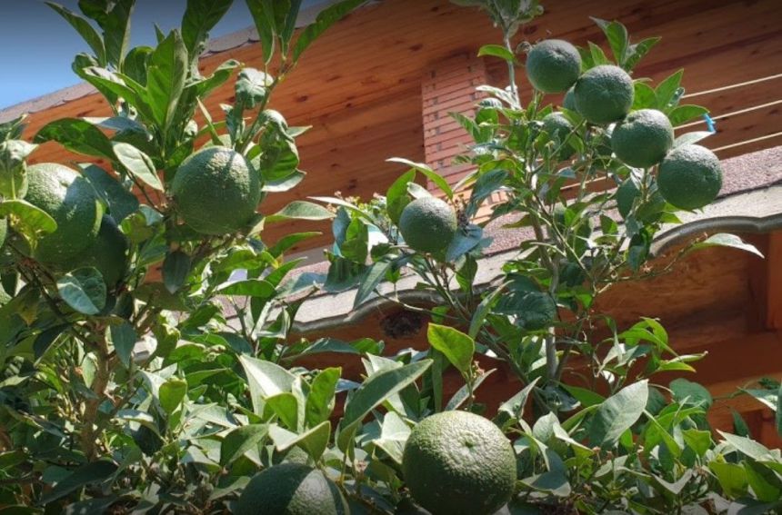 Ayışığı Pansiyon
