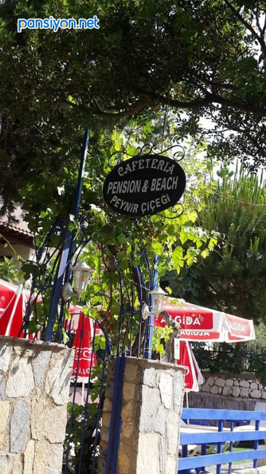 Peynir Çiçeği Pansiyon