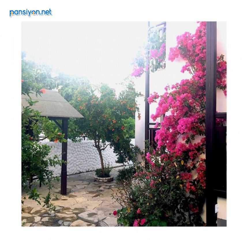 Orion Boutique Hotel