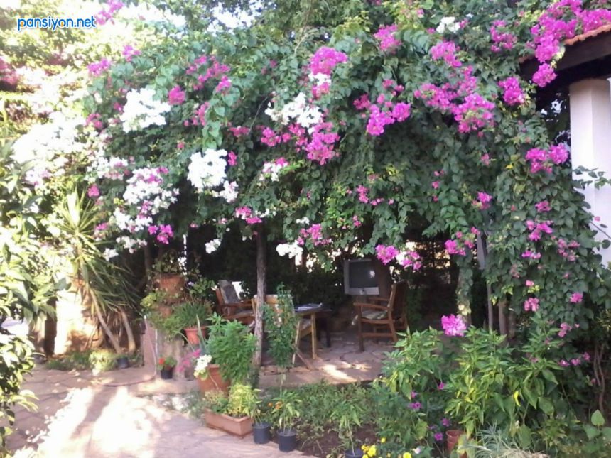 Villa Salkım