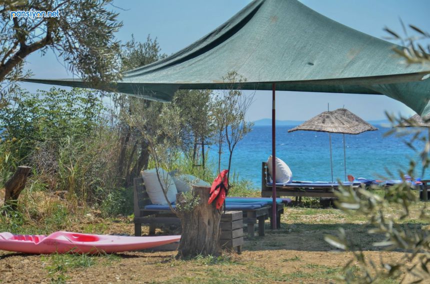 O2 Hotel Bungalow 