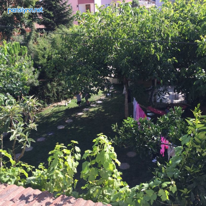 Asmalı Apart Pansiyon