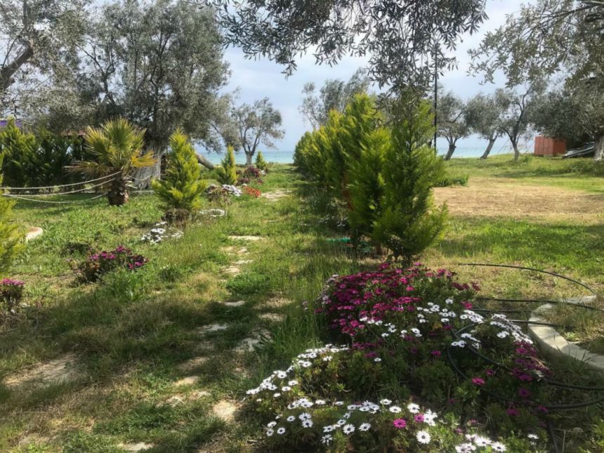Ilgaz Motel Camping
