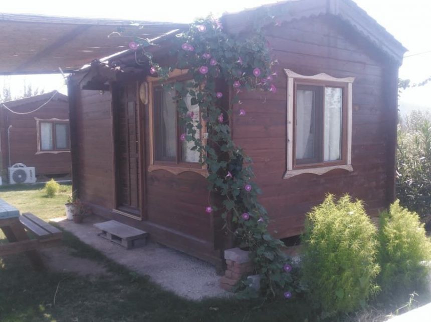 Mavi Beyaz Ancanos