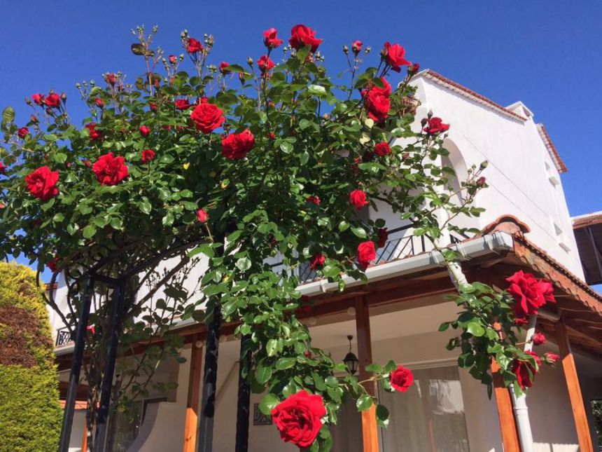 Dikili Tatil Evi