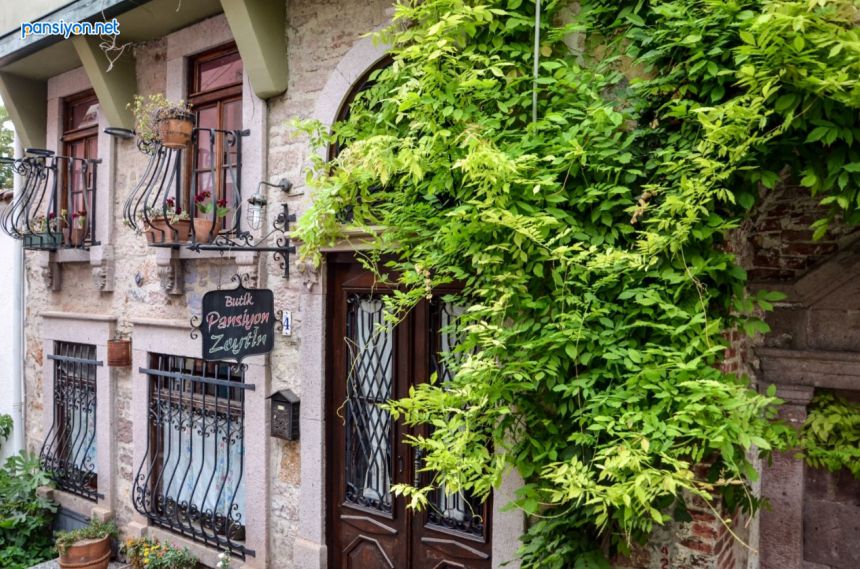 Zeytin Pansiyon